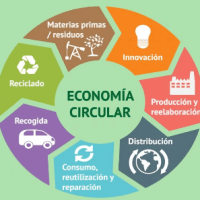 Economía circular, una mirada al futuro que debe empezar&nbsp;hoy.